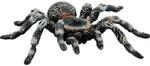Bullyland 68457 Spielfigur Wei&szlig;knie Vogelspinne mit beweglichen Beinen, ca....