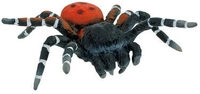 BULLYLAND 68458 R&ouml;hrenspinne