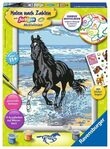 RAVENSBURGER 28565 Malen nach Zahlen Pferd am Strand