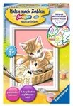 RAVENSBURGER 29686 Katzenbabys