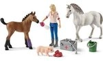 SCHLEICH 42486 Arztbesuch bei Stute und Fohlen