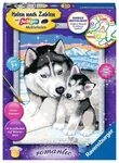 RAVENSBURGER 28479 Malen nach Zahlen Husky Kuss