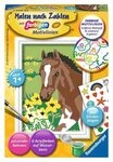 RAVENSBURGER 28463 Malen nach Zahlen Fohlen