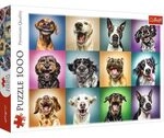 TREFL 10462 Funny dog portraits