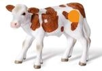 RAVENSBURGER 000319 tiptoi&reg; Fleckvieh-Kalb