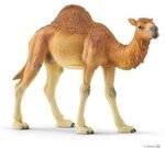 SCHLEICH 14832 Dromedar