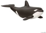 SCHLEICH 14836 Orka Junges
