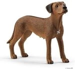 SCHLEICH 13895 Rhodesian Ridgeback
