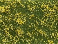 NOCH 07255 G 1 SPUR 0 H0 H0m H0e TT N Z Bodendecker-Foliage Wiese gelb 12 x 18 cm