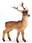 PAPO 53008 Hirsch