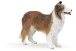 PAPO 30230 Collie
