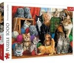 TREFL 10555 Puzzle1000&ndash;Katzentreffen
