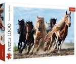 TREFL 10446 Galloping horses