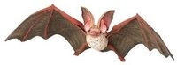 PAPO 50239 Fledermaus