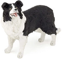PAPO 54008 HAUSTIERE Border Collie