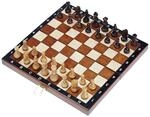 Philos Reiseschach Magnetisch
