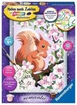 RAVENSBURGER 20064 Malen nach Zahlen Neugieriges Eichh&ouml;rnchen