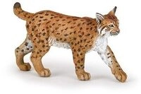 PAPO 50241 Luchs