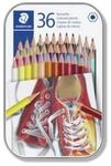 STAEDTLER&reg; 175 Buntstift, Metalletui mit 36 Buntstiften in sortierten Farben