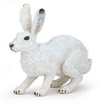PAPO 50226 WILDTIERE DER WELT Polarhase