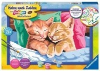 RAVENSBURGER 28986 Malen nach Zahlen Verschmuste K&auml;tzchen
