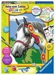 RAVENSBURGER 20063 Malen nach Zahlen Stolzes Turnierpferd
