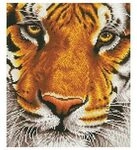 DIAMOND DOTZ DD8001 Diamond Painting Tiger Ge&uuml;bte