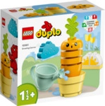 LEGO&reg; DUPLO&reg; 10981 Wachsende Karotte