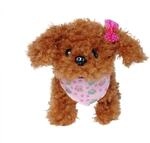 Simba Chi Chi Love Tea Cup Poodle Puppy