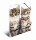 HERMA 10006223 Sammelmappe Lieblingstiere A4 PP - Katzen