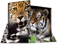 HERMA 7142 Sammelmappe A3 Leopard