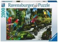 RAVENSBURGER 17111 Puzzle Bunte Papagein im Dschungel 2000 Teile