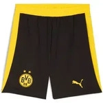 BVB Shorts Replica - schwarz / S