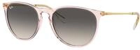 Ray - Ban Damen Ray - Ban RB4171 ERIKA 674211 Sonnenbrillen Injiziert Rosa Grau