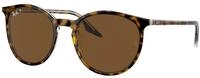 Ray - Ban Unisex Ray - Ban RB2204 139357 Sonnenbrillen Acetat Braun Braun Pantos
