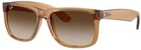 Ray - Ban Herren Ray - Ban RB4165 JUSTIN 681413 Sonnenbrillen Nylon Braun Braun