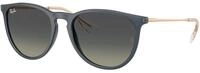 Ray - Ban Damen Ray - Ban RB4171 ERIKA 681311 Sonnenbrillen Nylon Blau Grau Pantos