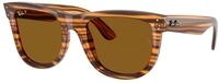 Ray - Ban Unisex Ray - Ban RBR0502S WAYFARER REVERSE 679183 Sonnenbrillen Acetat
