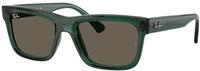 Ray - Ban Kind Ray - Ban RJ9196S 7189/3 Sonnenbrillen Injiziert Gr&uuml;n Braun