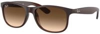 Ray - Ban Herren Ray - Ban RB4202 ANDY 607313 Sonnenbrillen Injiziert Braun Braun
