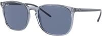 Ray - Ban Unisex Ray - Ban RB4387 639980 Sonnenbrillen Injiziert Blau Blau