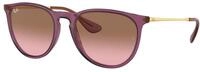 Ray - Ban Damen Ray - Ban RB4171 ERIKA 659114 Sonnenbrillen Nylon Violett Rosa Pantos