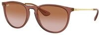 Ray - Ban Damen Ray - Ban RB4171 ERIKA 659013 Sonnenbrillen Nylon Braun Braun Pantos