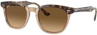 Ray - Ban Unisex Ray - Ban RB2298 HAWKEYE 1292M2 Sonnenbrillen Acetat Gold Braun