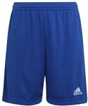 adidas Entrada Short Kinder 152