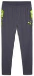 Puma IndividualLIGA Training Pants Kinder galactic gray-yellow alert 176