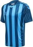 Hummel hmlCore XK Striped Trikot Herren BLUE CORAL/BLUE DANUBE 2XL