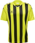 Hummel hmlCore XK Striped Trikot Herren LIME POPSICLE/BLACK 2XL