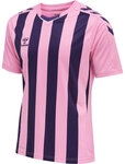 Hummel hmlCore XK Striped Trikot Herren COTTON CANDY/ACAI S
