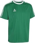 Derbystar Argentina Trikot gruen weiss XXL